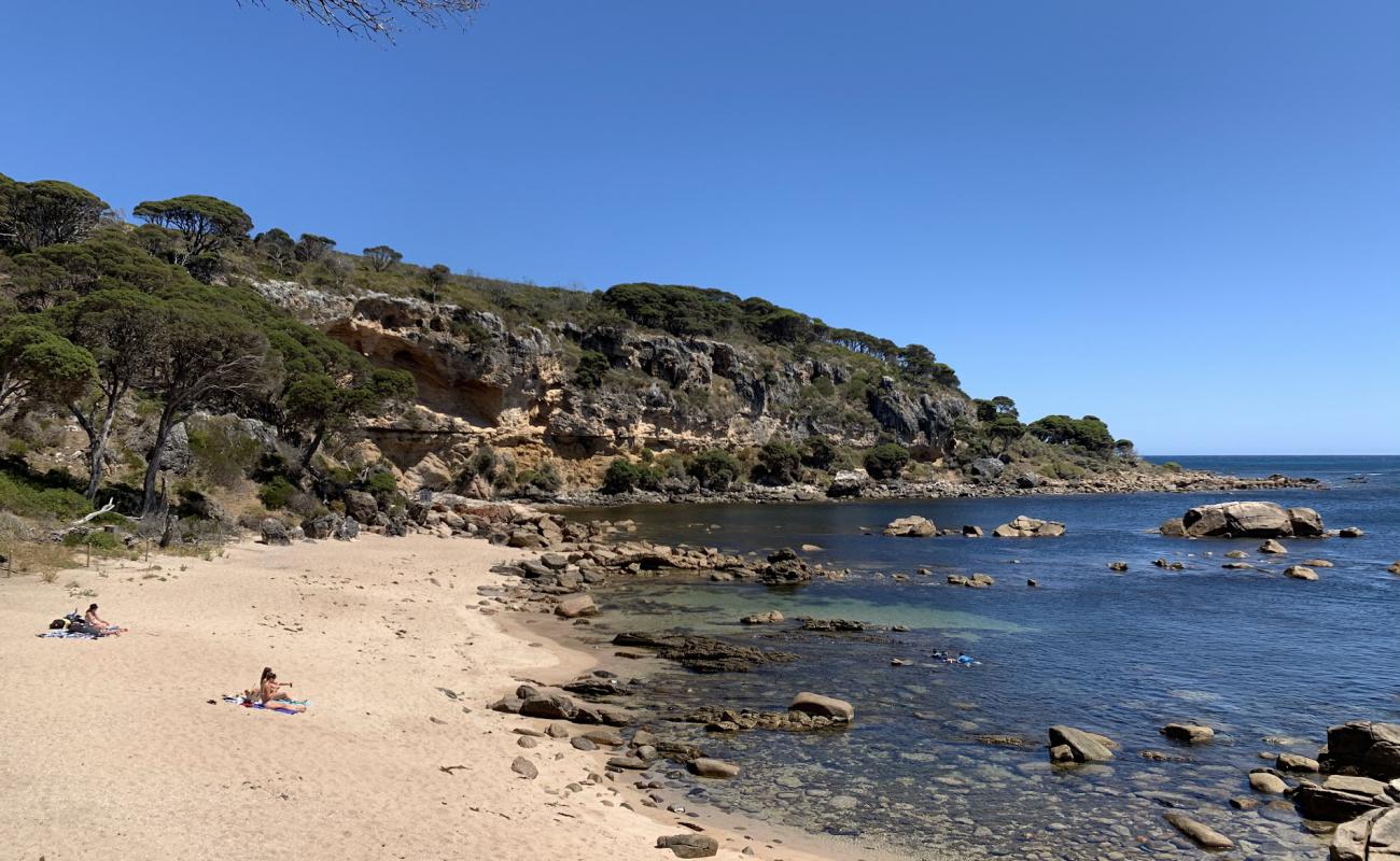 Photo de Shelley Cove Beach avec sable lumineux de surface