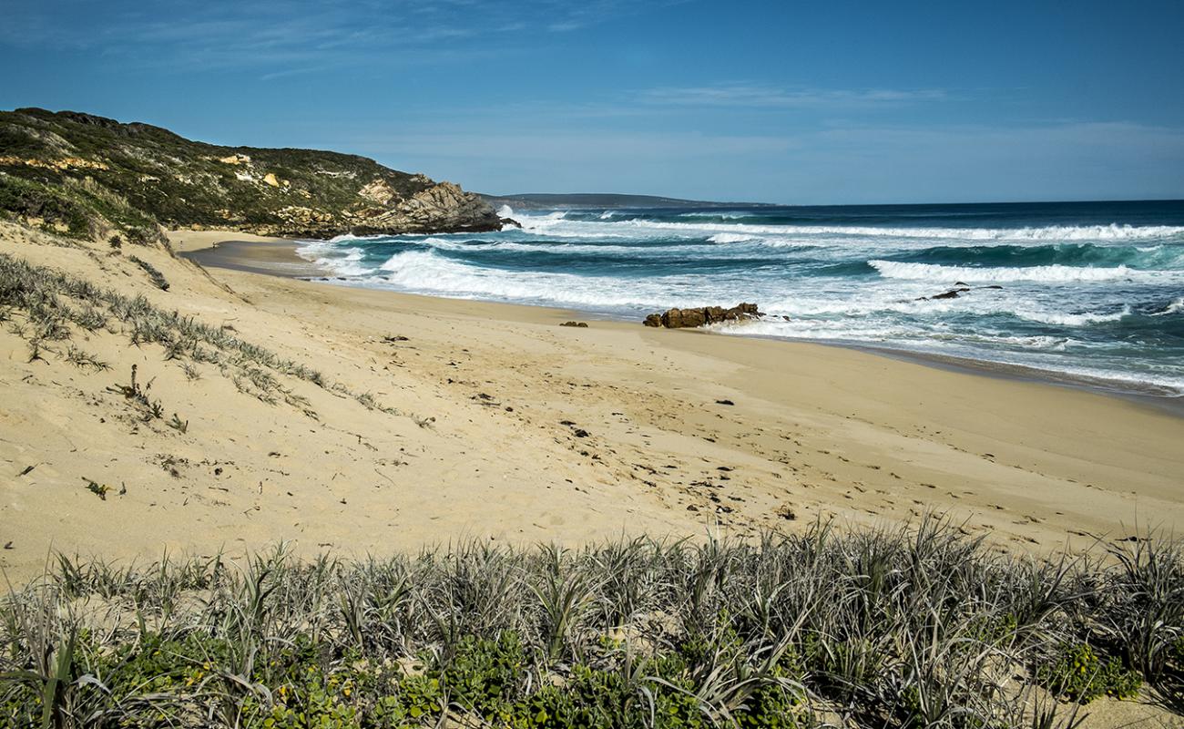 Photo de Honeycombs Beach avec sable beige de surface