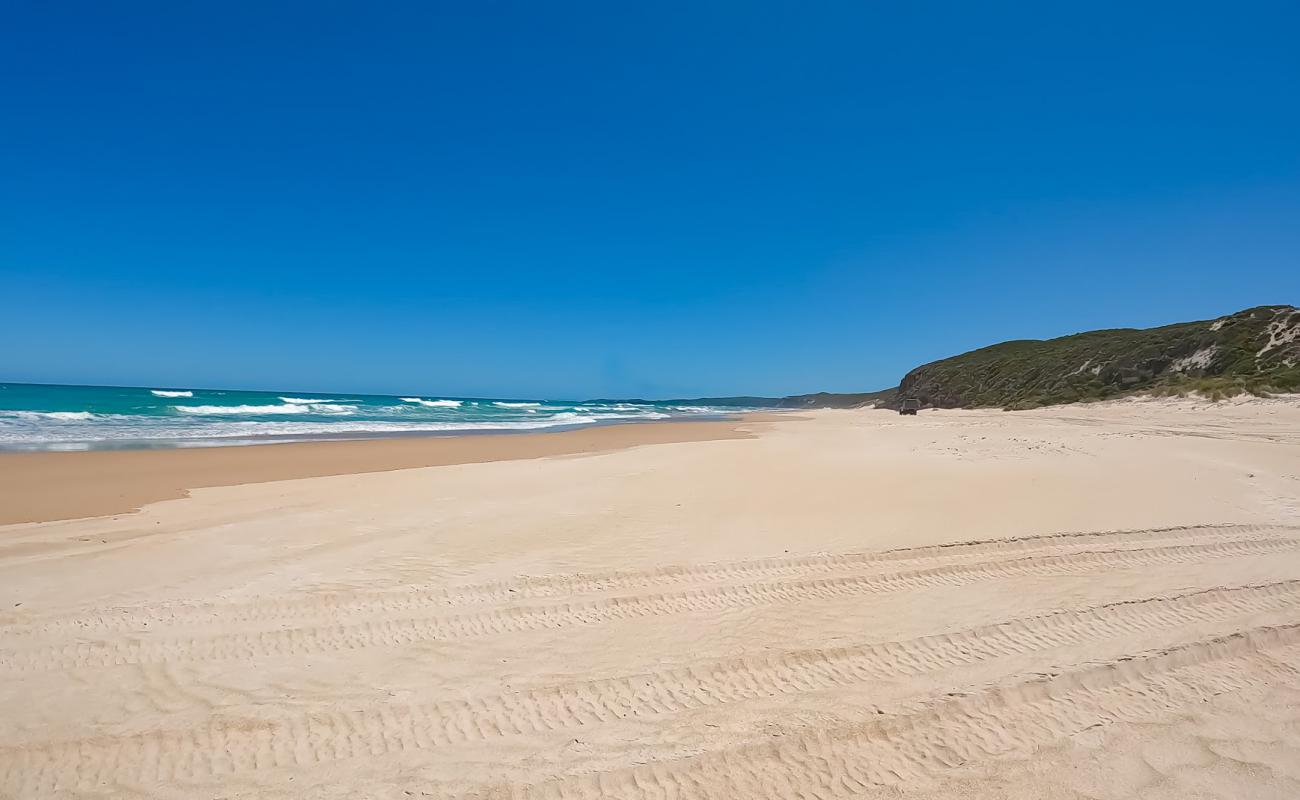 Photo de Jasper Beach avec sable beige de surface