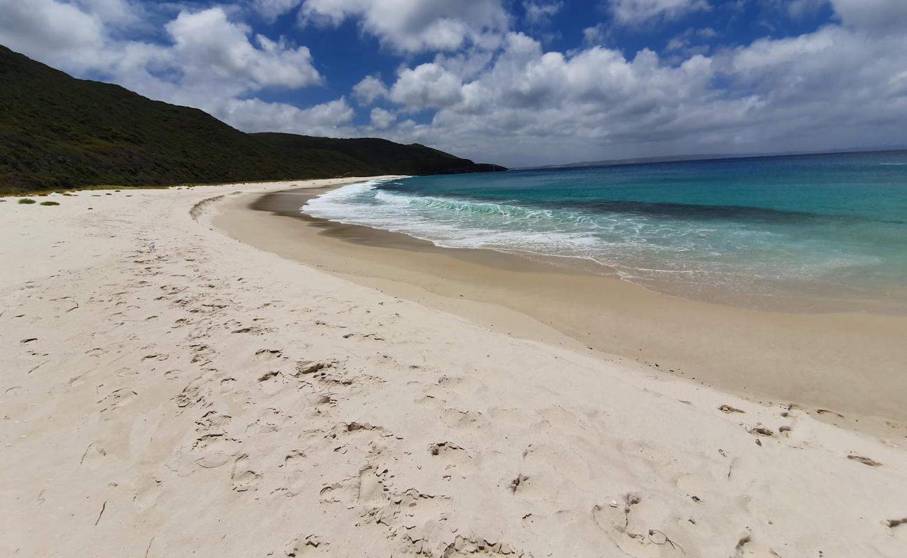 Photo de Shelly Beach avec sable lumineux de surface