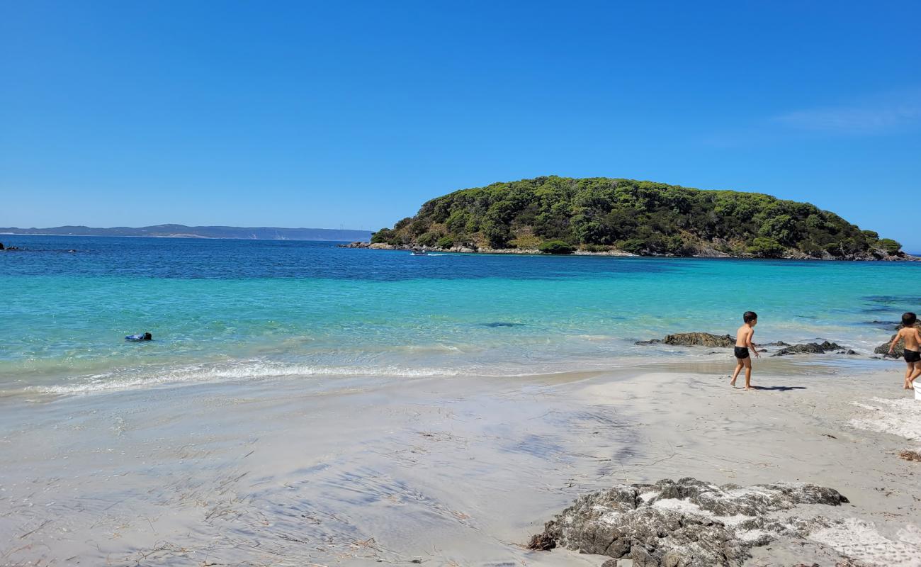 Photo de Hartmans Beach avec sable lumineux de surface