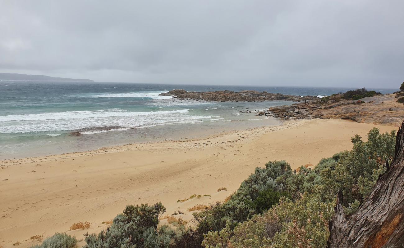 Photo de Boat Harbour Beach avec sable beige de surface
