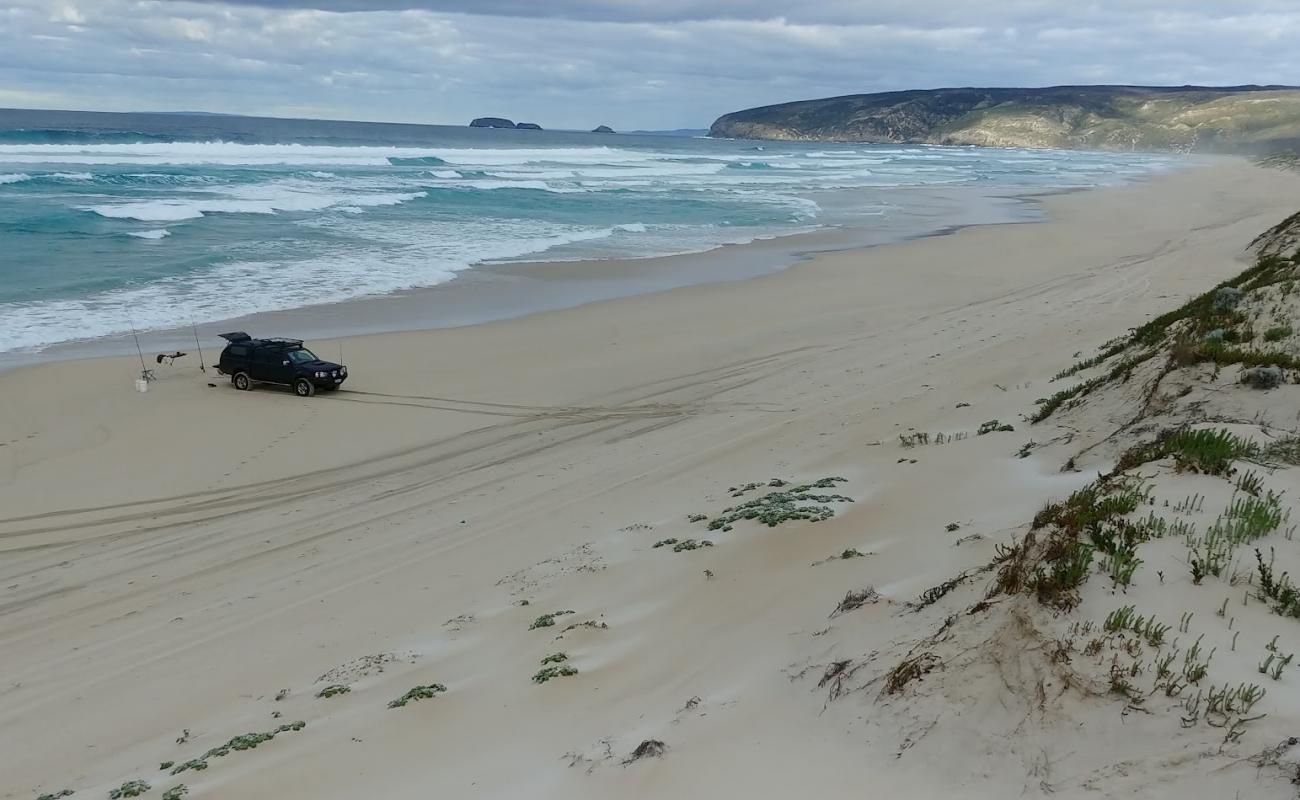 Photo de Foster Beach avec sable beige de surface