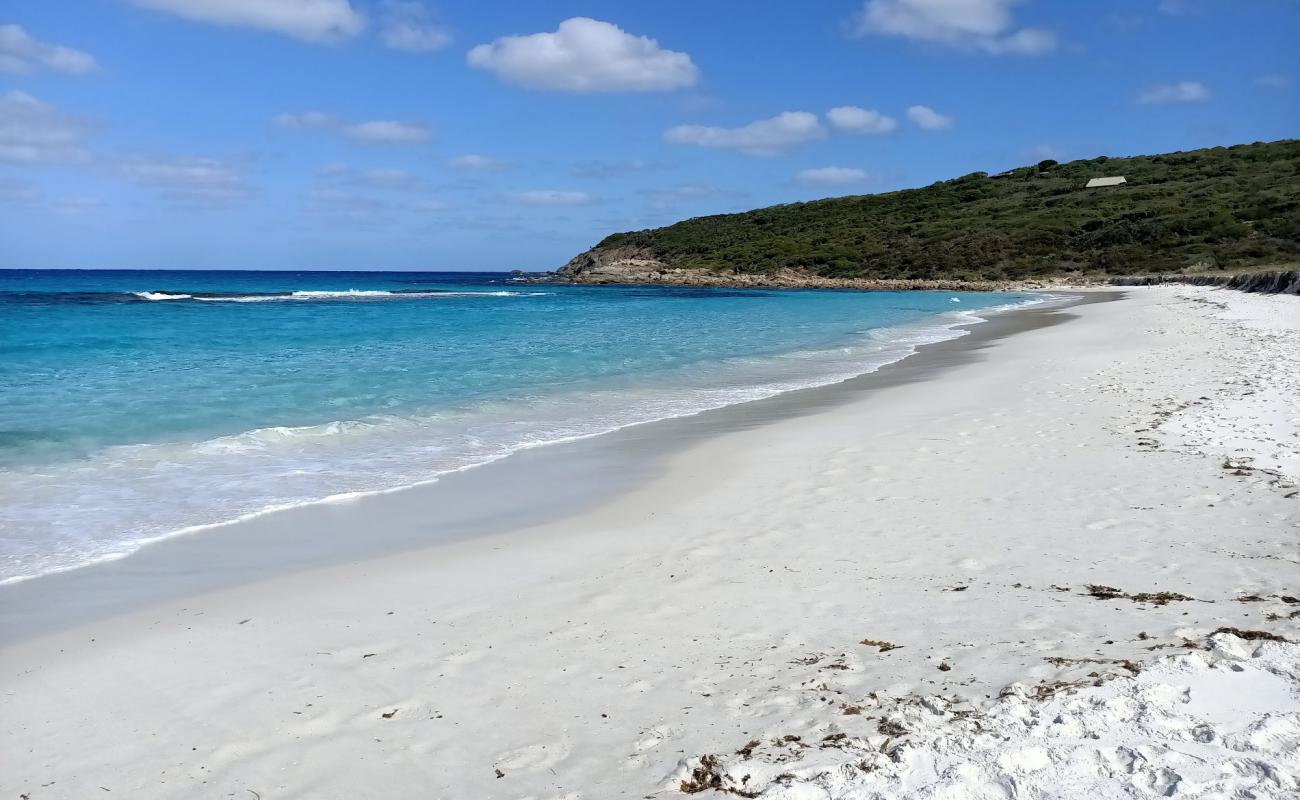 Photo de Short Beach avec sable fin et lumineux de surface