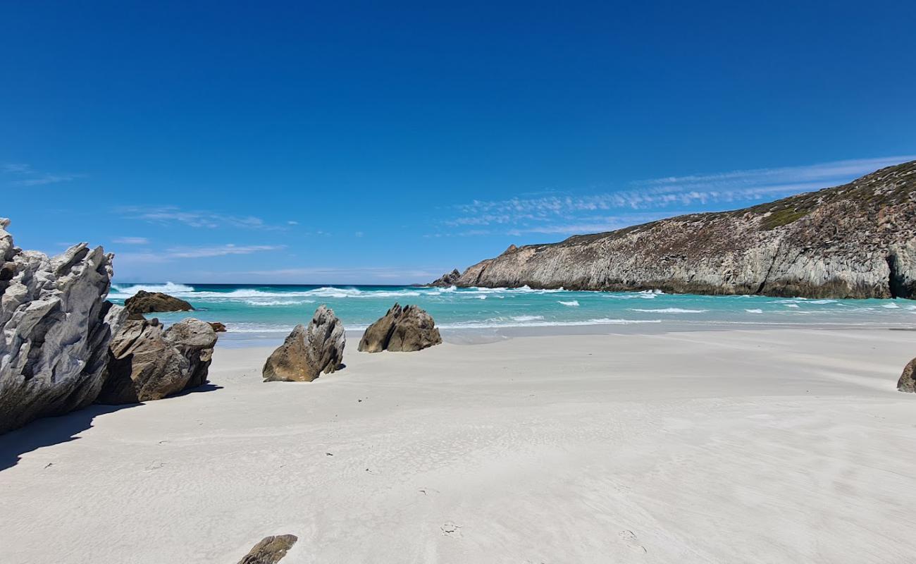 Photo de Whalebone Beach avec sable fin blanc de surface