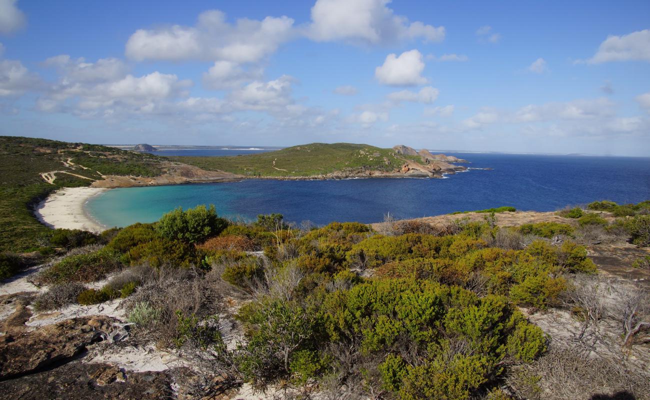 Photo de Thistle Cove Beach avec sable blanc de surface