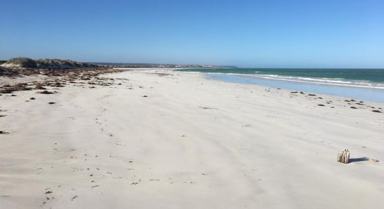 Bilbunya Dunes