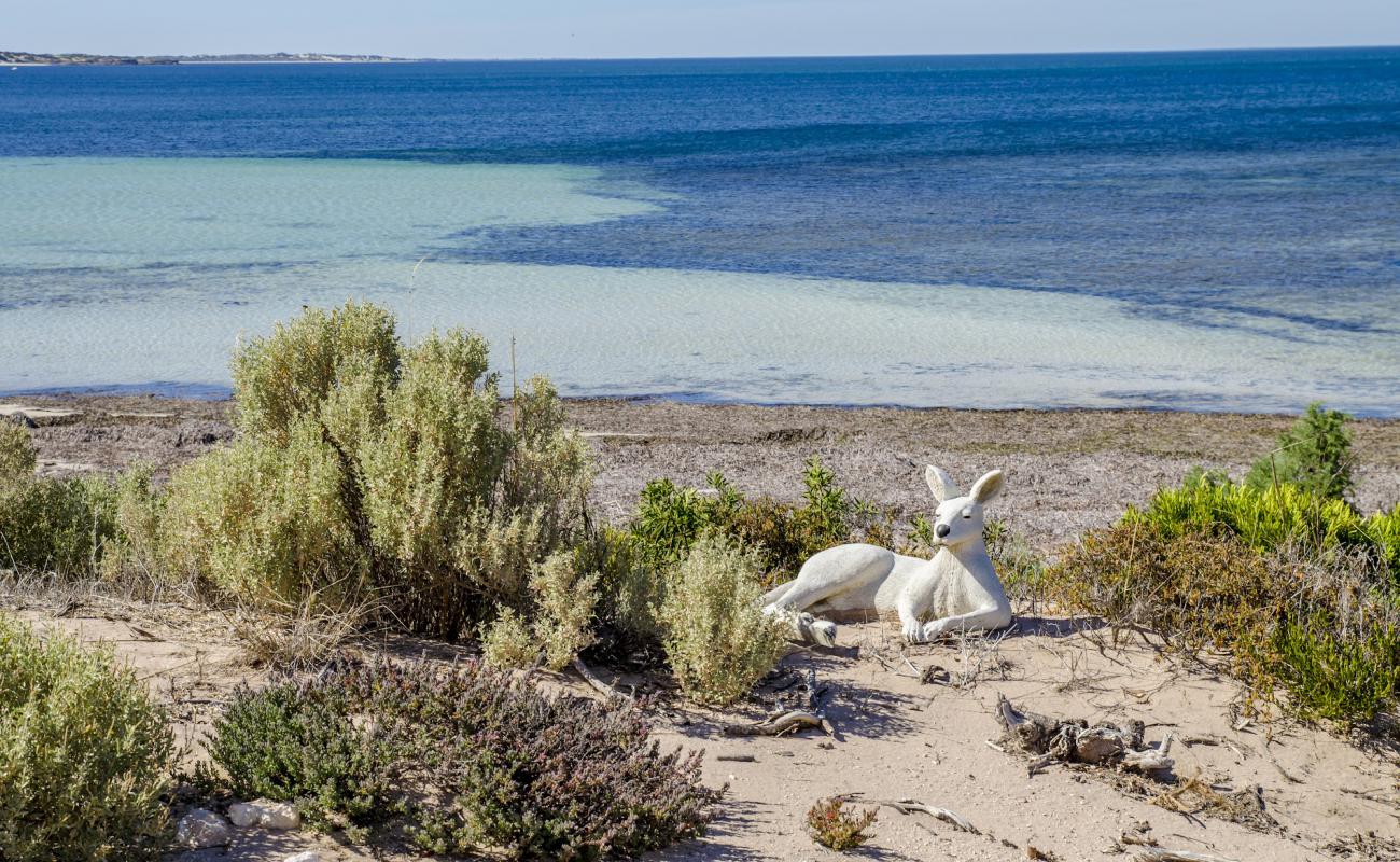 Photo de RoseBay Beach avec sable lumineux de surface