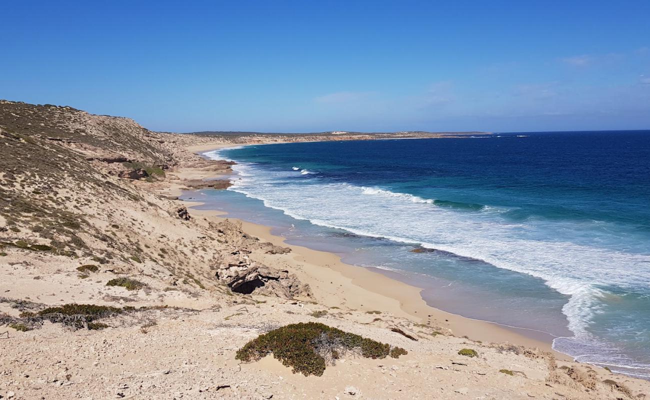 Photo de Long Beach avec sable lumineux de surface