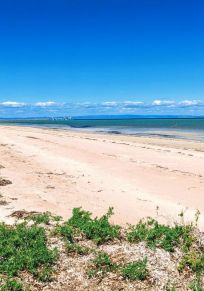 District de Whyalla
