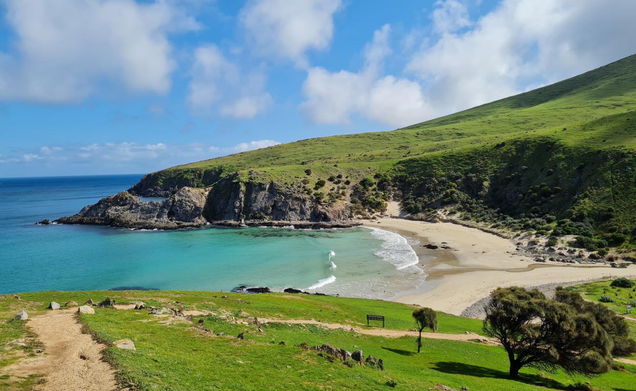 Photo de Blowhole Beach avec sable lumineux de surface