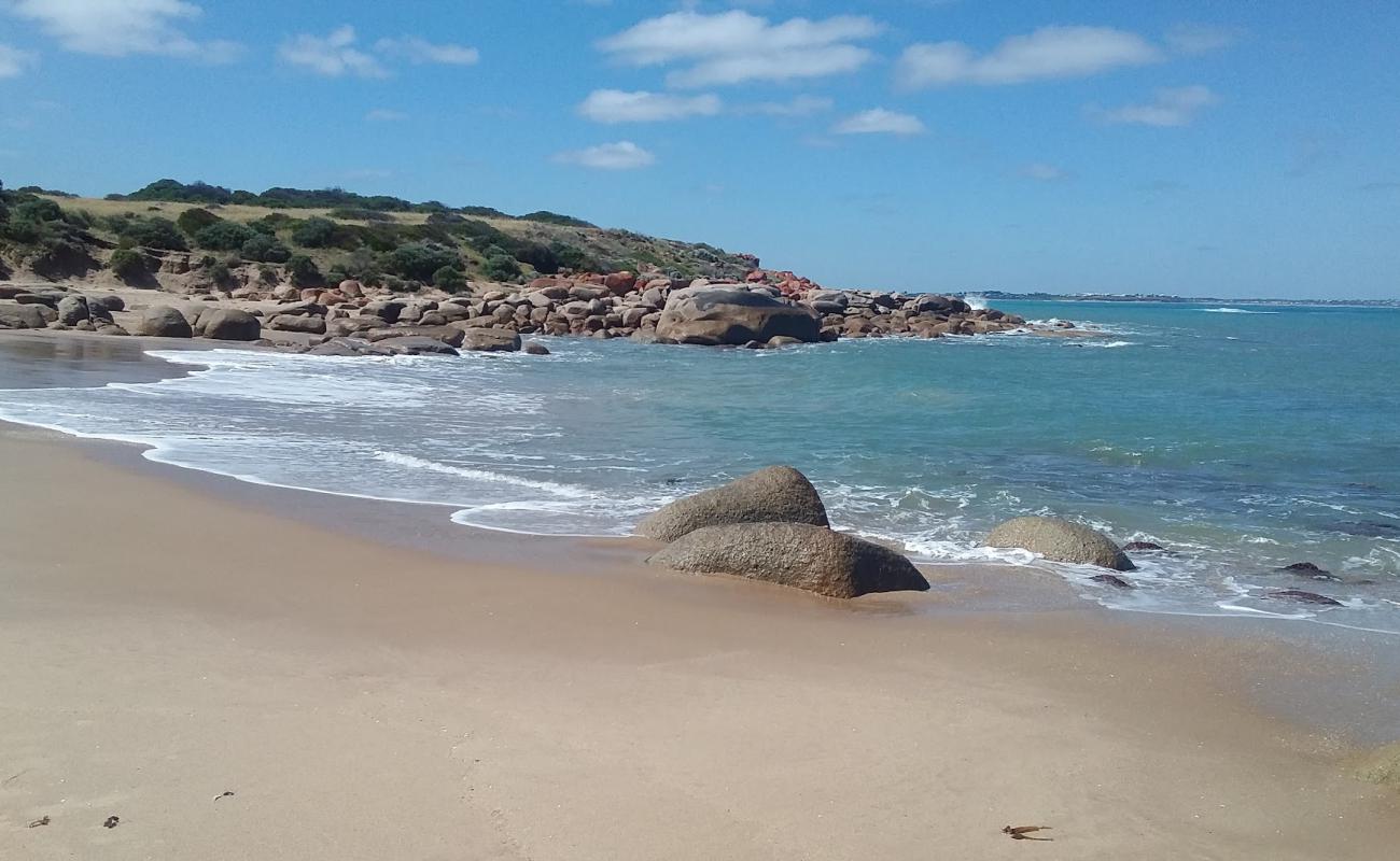 Photo de Basham Beach avec sable beige de surface