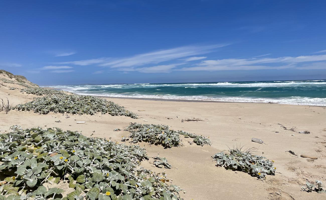 Photo de Black's Beach avec sable beige de surface