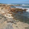 Shelly Beach, Warrnambool