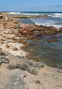 District de Warrnambool