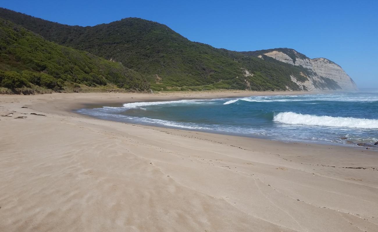 Photo de Milanesia Beach avec sable beige de surface