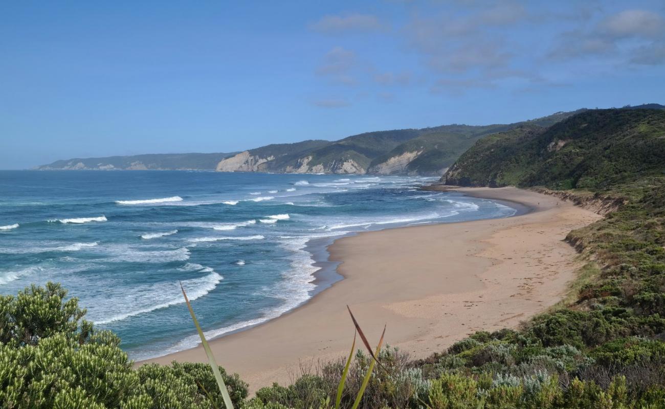 Photo de Johanna Beach avec sable beige de surface