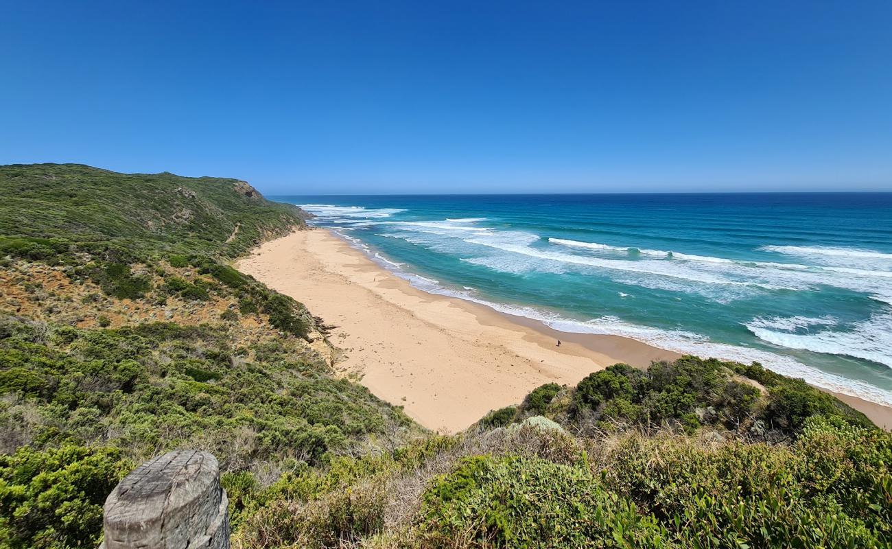 Photo de Castle Cove Beach avec sable beige de surface