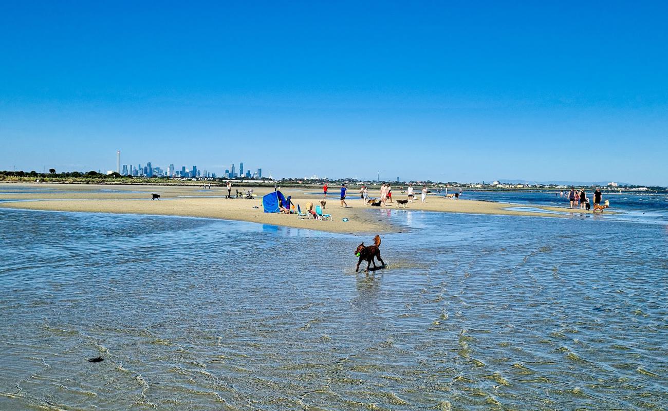Photo de Altona Beach Dog Off avec sable beige de surface