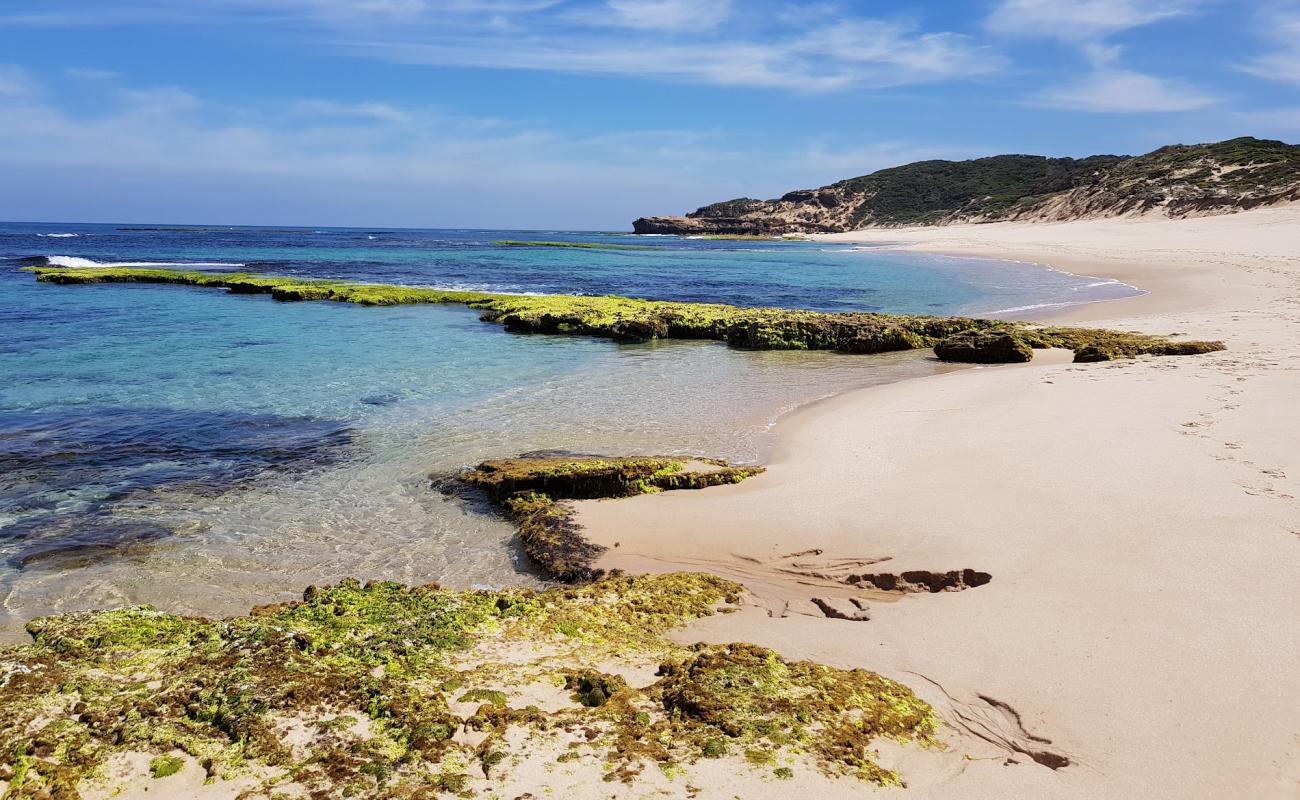 Photo de Koonya Ocean Beach avec sable beige de surface