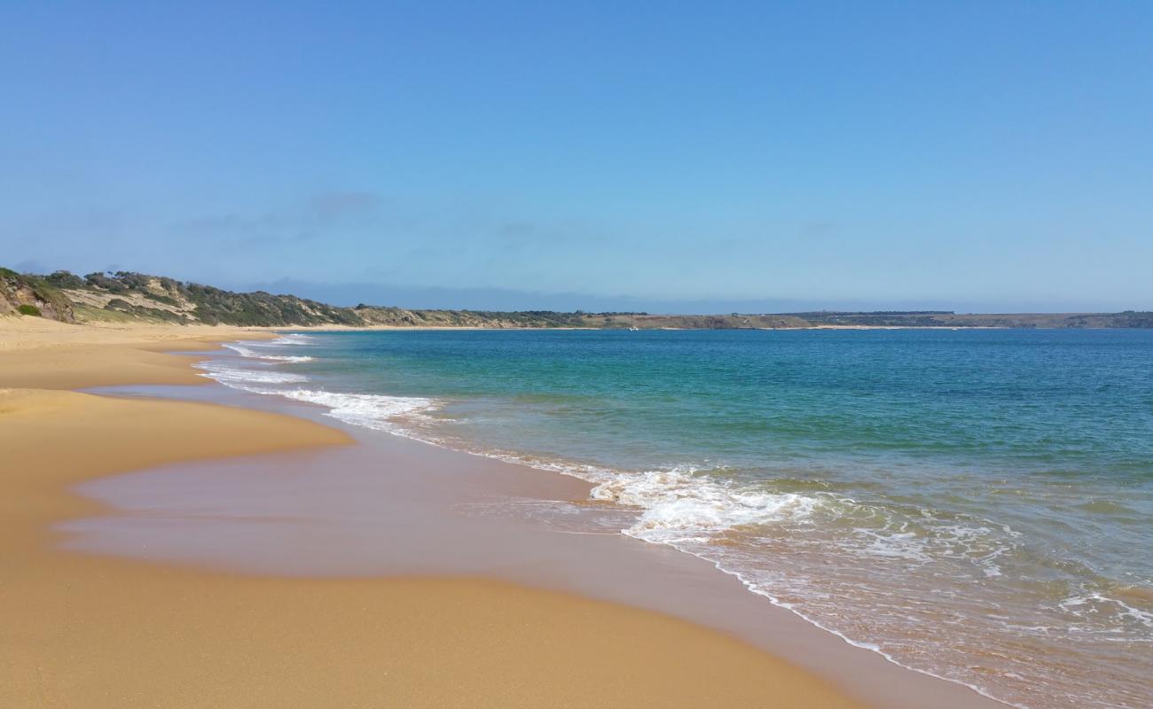 Photo de Flynns Beach avec sable beige de surface