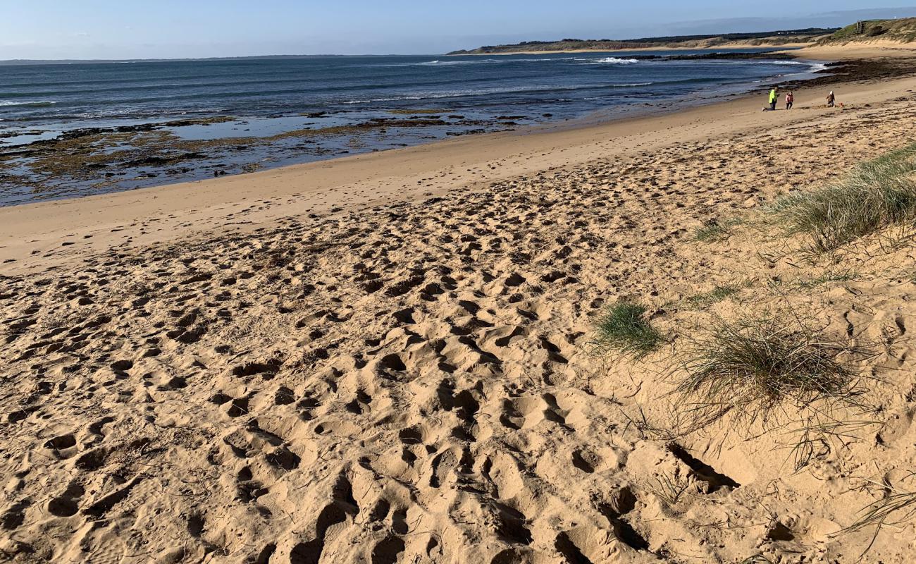 Photo de Shelly Beach avec sable lumineux de surface