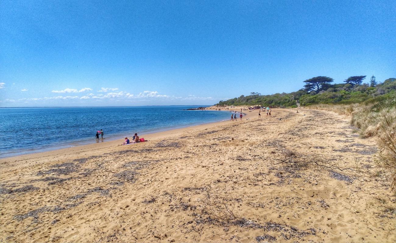 Photo de Cowrie Beach avec sable beige de surface