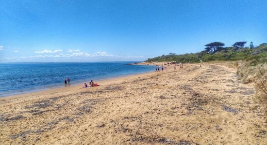 Cowrie Beach