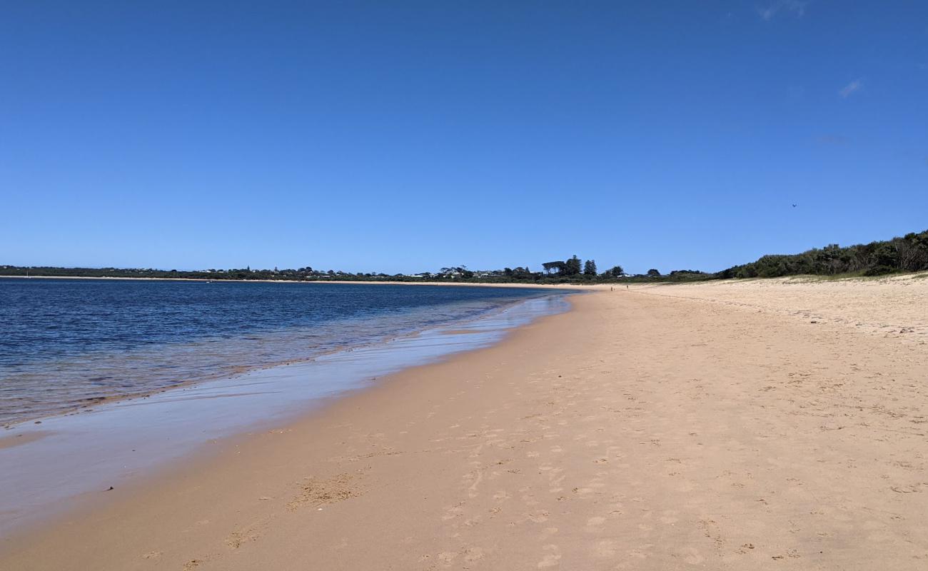 Photo de Cape Woolamai Beach avec sable lumineux de surface