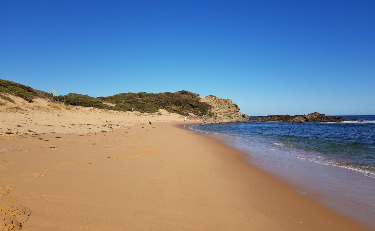 Photo de Shelley Beach avec sable beige de surface