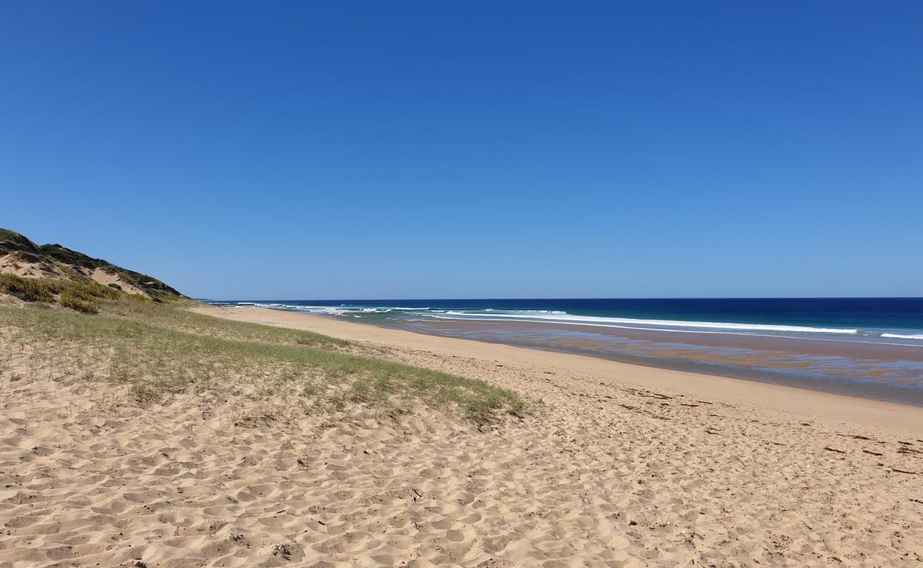 Photo de Mouth of Powlett Rd avec sable lumineux de surface