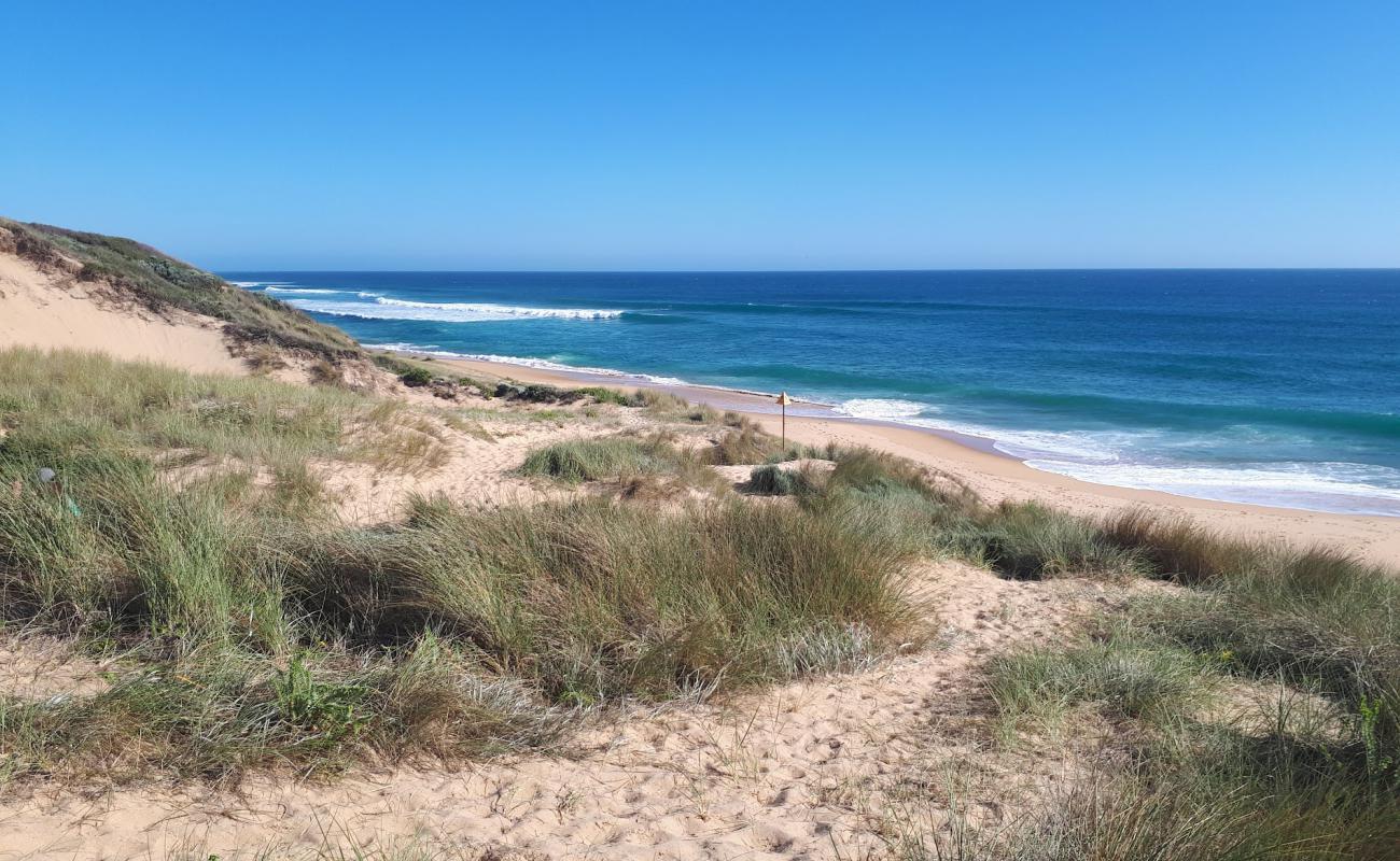 Photo de Williamson's Beach avec sable beige fin de surface