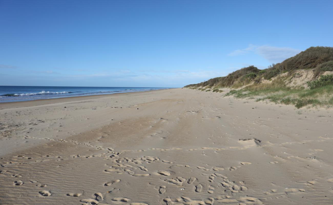 Photo de Cape Liptrap Beach avec sable lumineux de surface