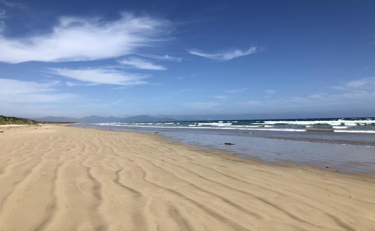 Photo de Waratah Shallow Beach avec sable beige de surface