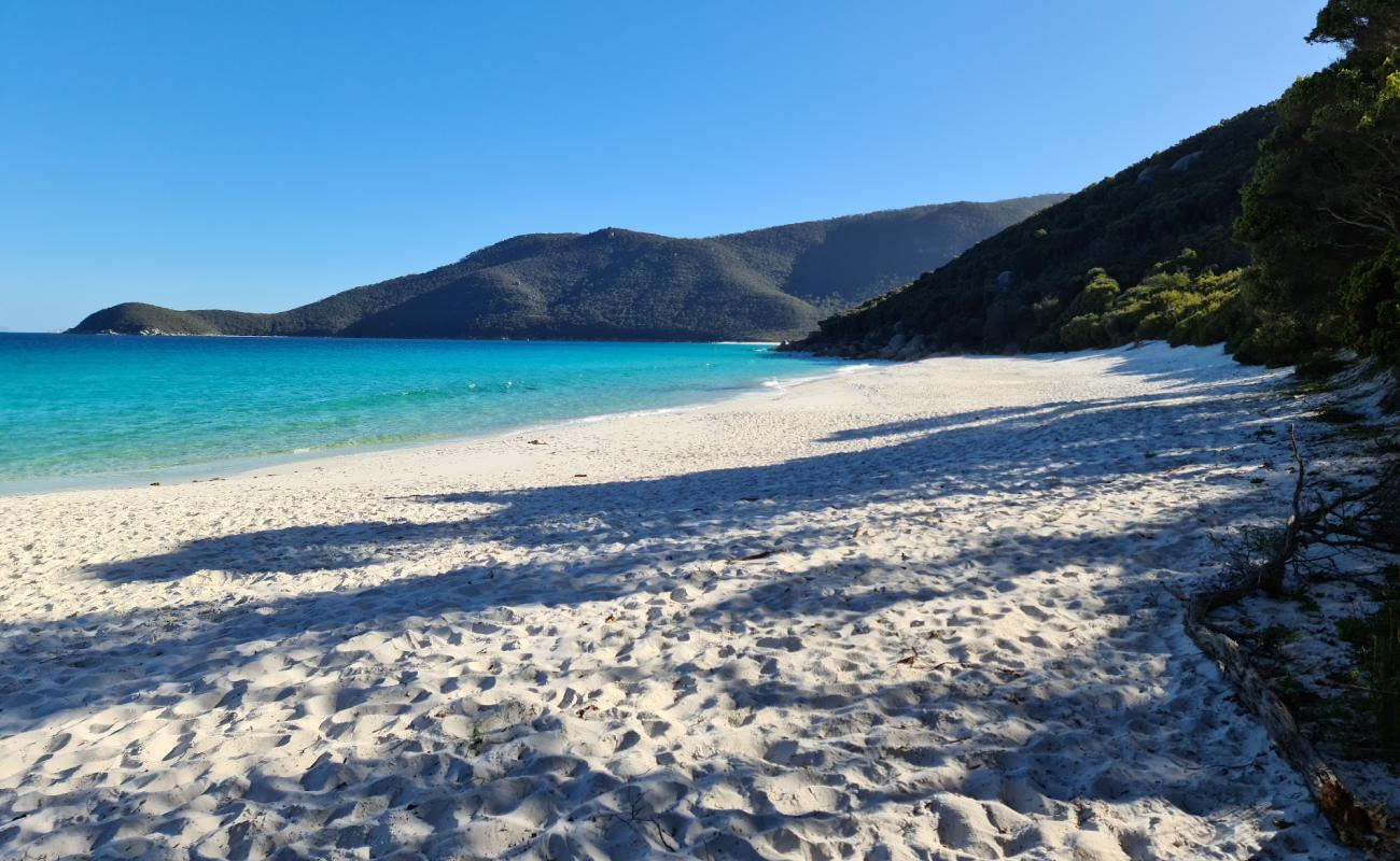 Photo de Little Waterloo Bay Beach avec sable fin et lumineux de surface