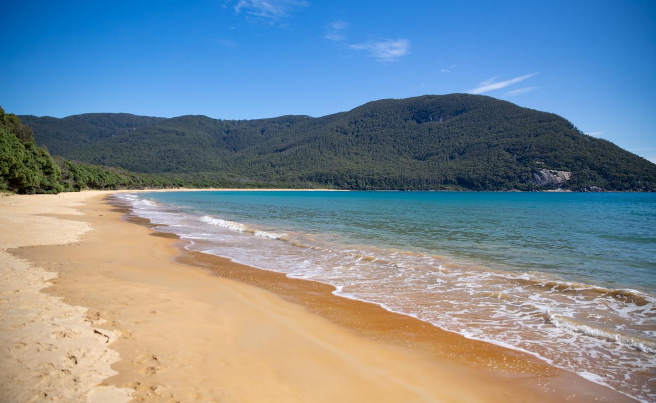 Photo de Sealers Cove Beach avec sable lumineux de surface