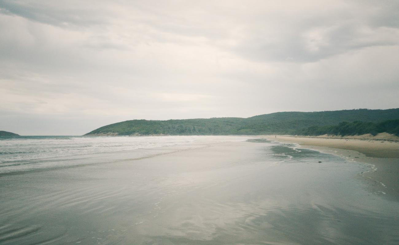 Photo de Johnny Souey Cove Beach avec sable beige de surface