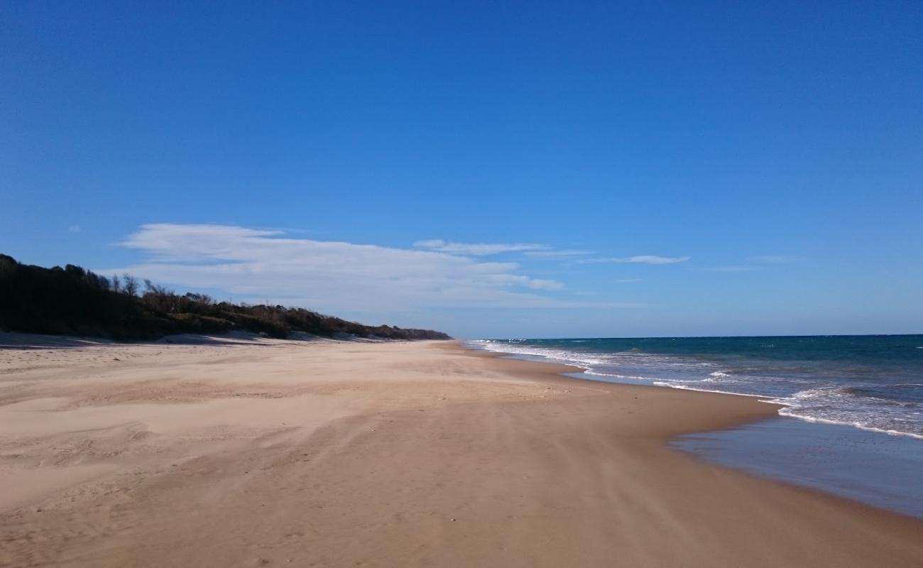 Photo de Mcloughlins Beach avec sable fin et lumineux de surface