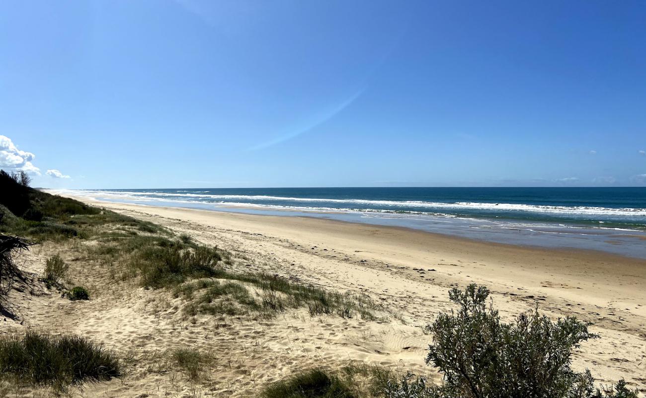 Photo de Reeves Beach avec sable beige fin de surface