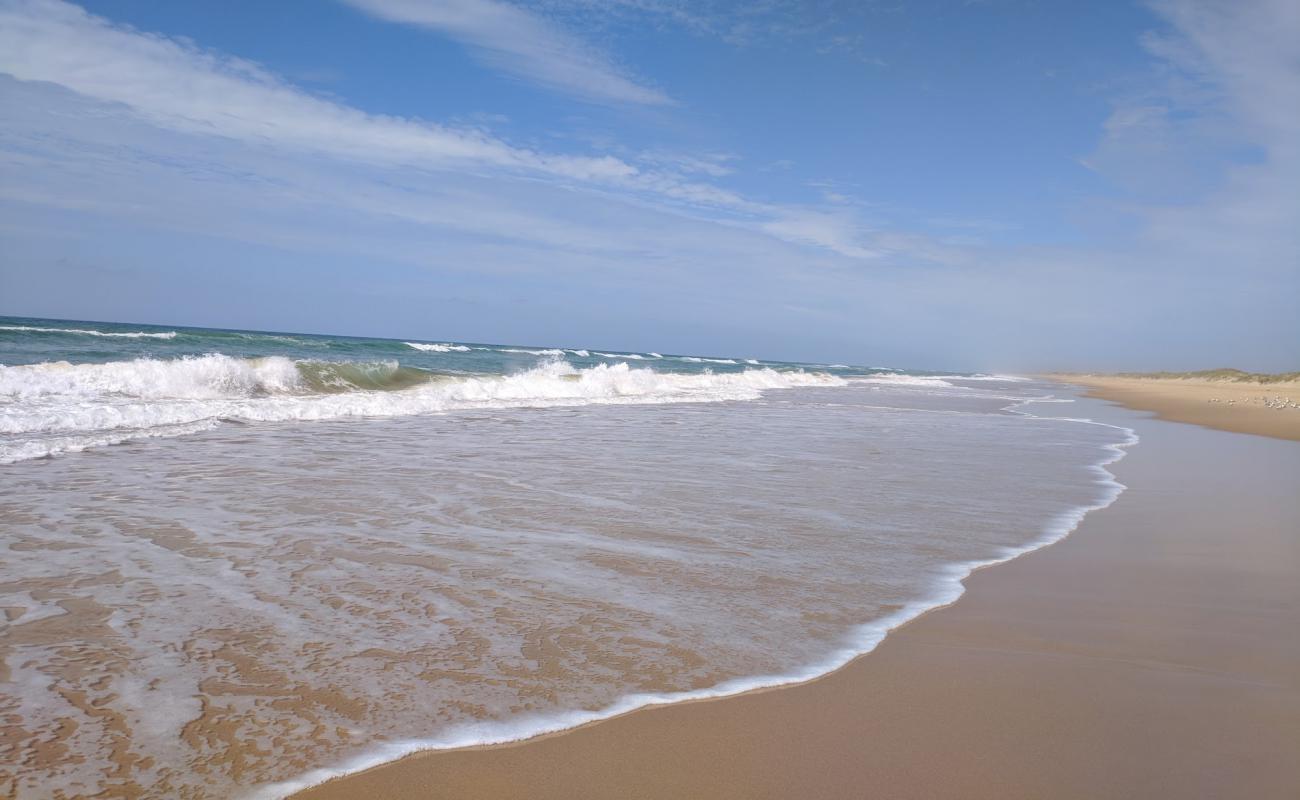 Photo de McGauran Beach avec sable beige de surface