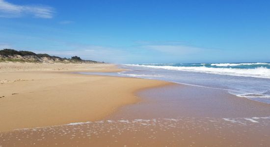 Mcloughlins Beach