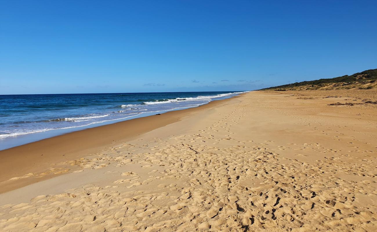 Photo de Ninety Mile Beach avec sable beige fin de surface