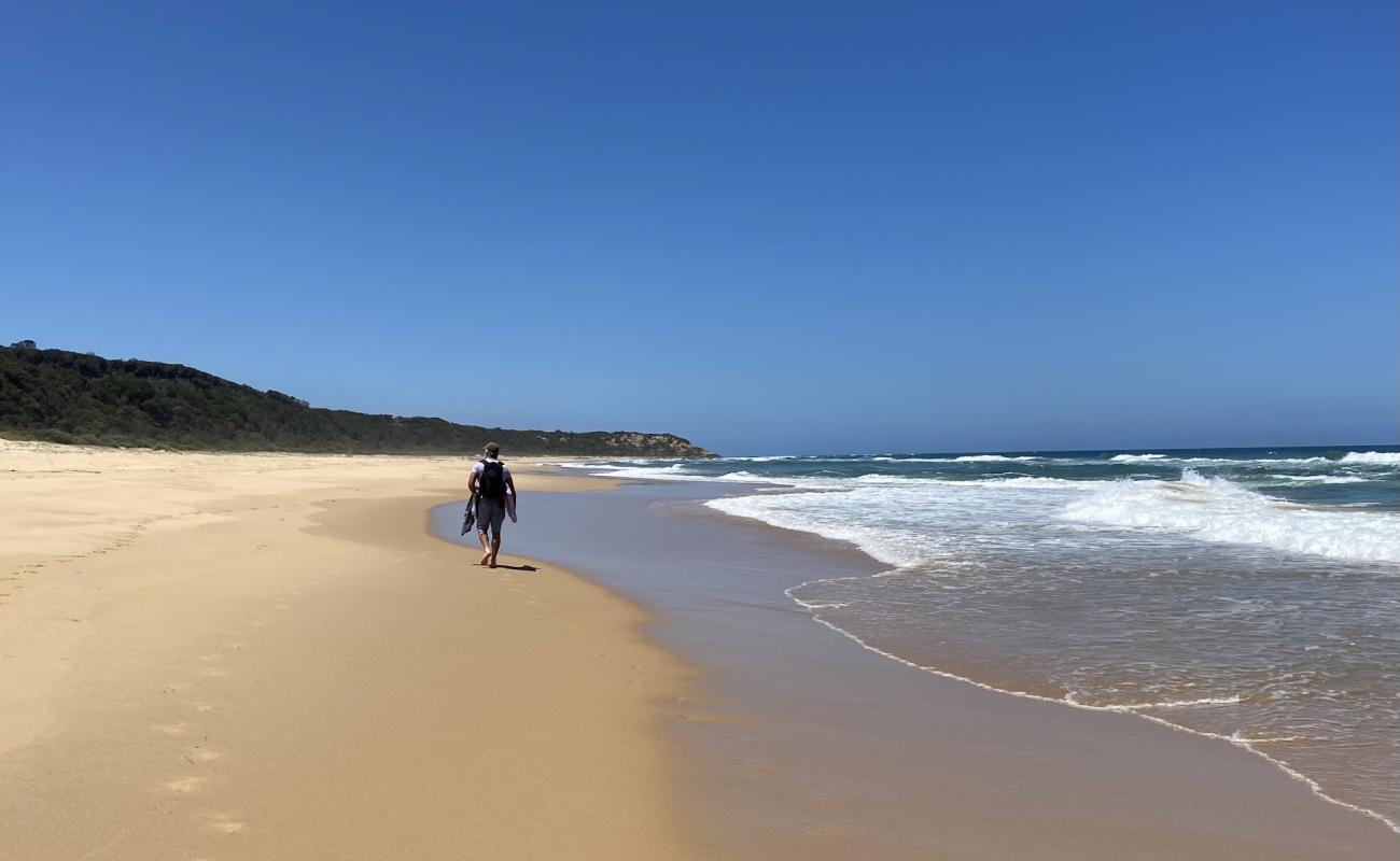 Photo de Shelly Beach avec sable beige fin de surface