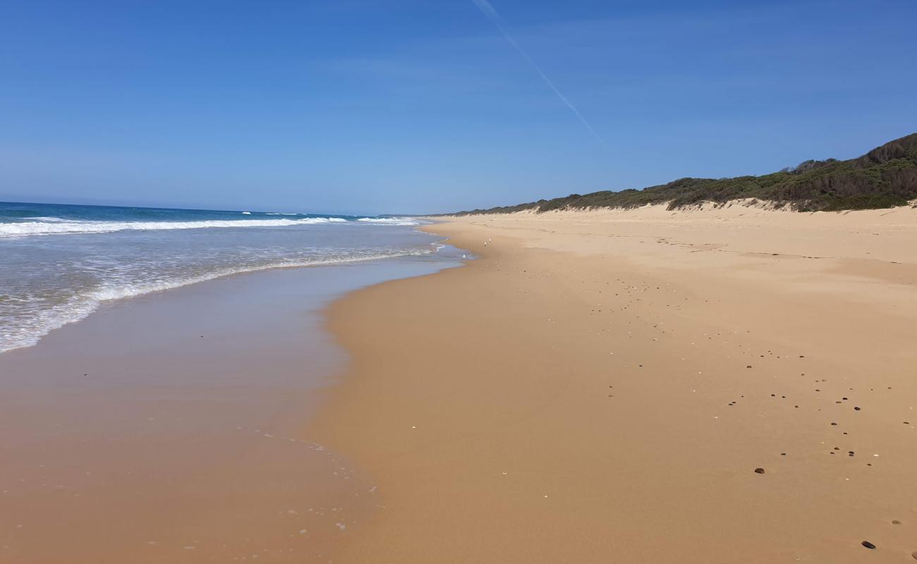Photo de Pettmans Beach avec sable beige de surface