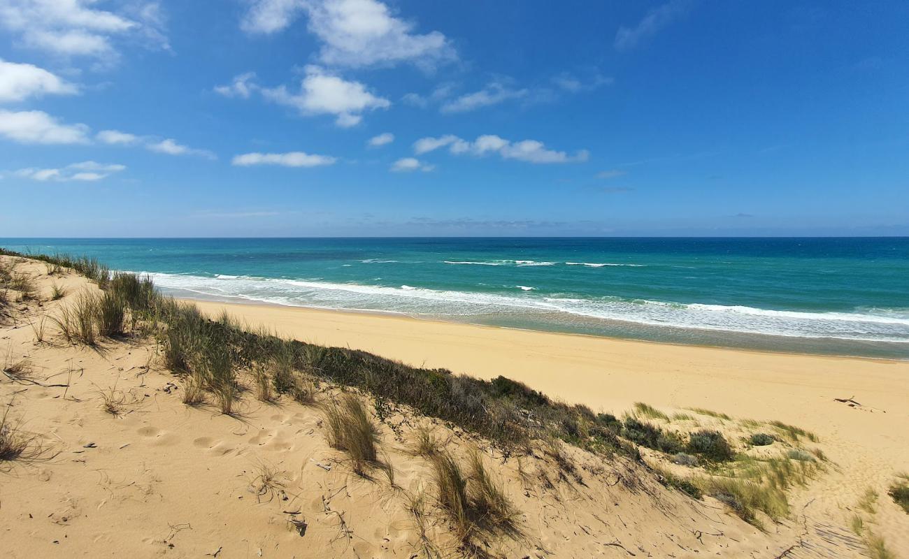 Photo de Corringle Beach avec sable beige fin de surface