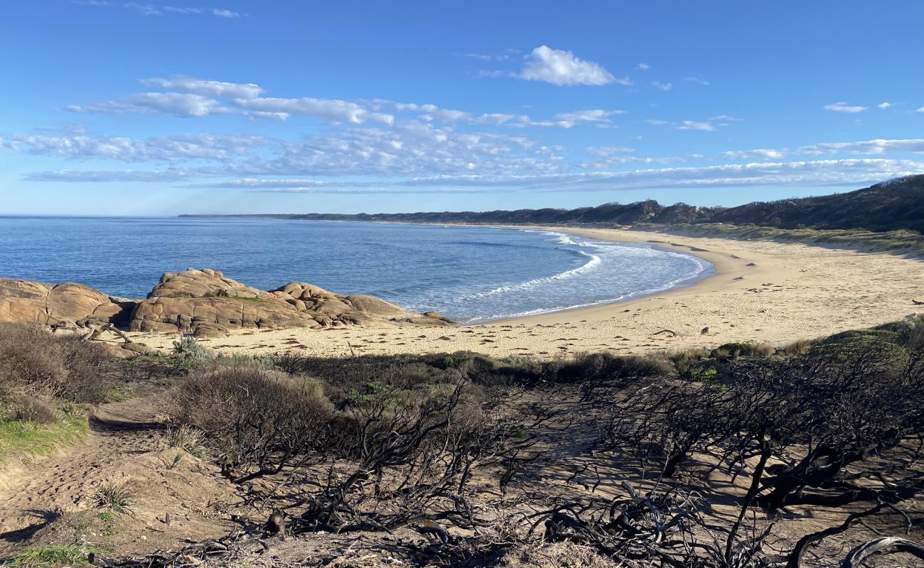 Photo de Salmon Beach avec sable fin et lumineux de surface