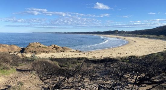 Salmon Beach