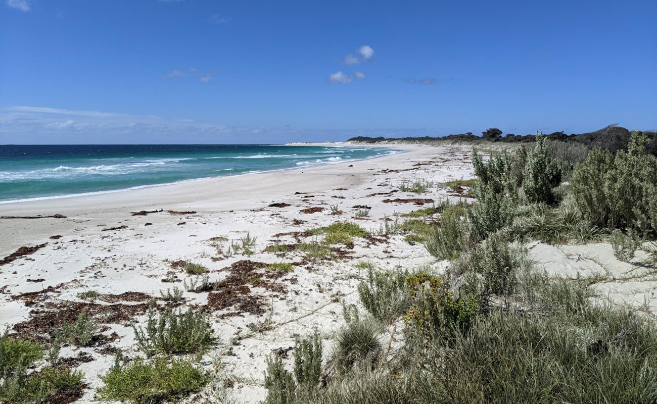 Photo de Mount William Beach avec sable blanc de surface