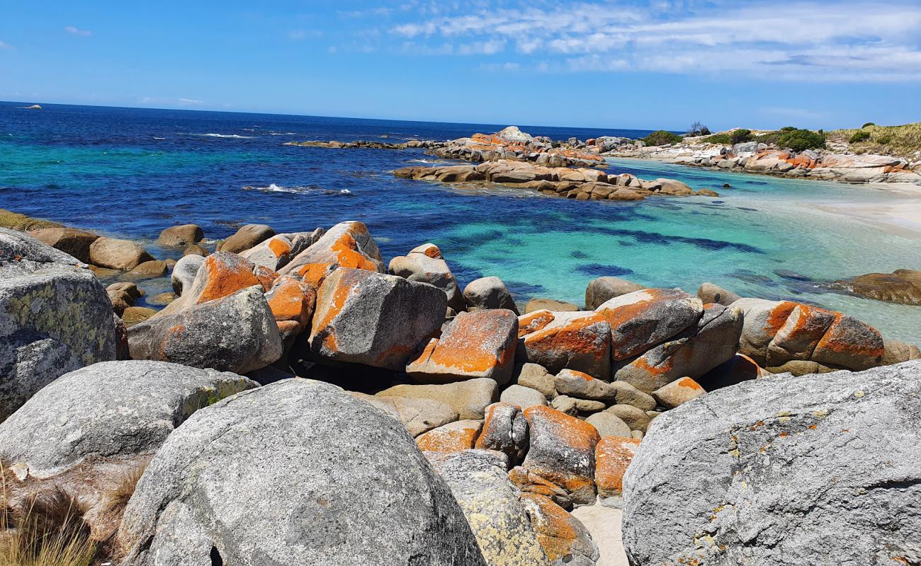 Photo de Gardens Lagoon Beach avec sable lumineux de surface