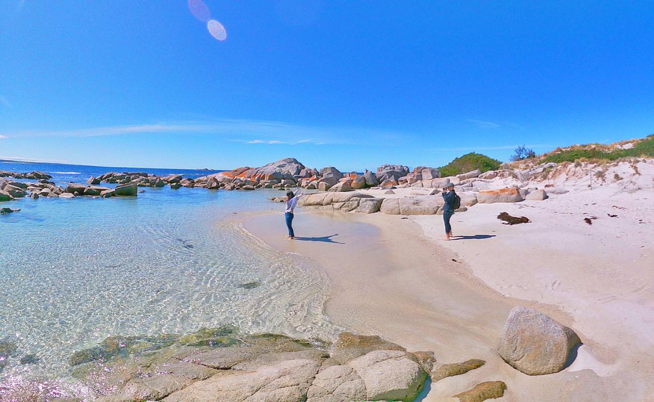 Photo de Koala Rock Beach avec sable blanc de surface